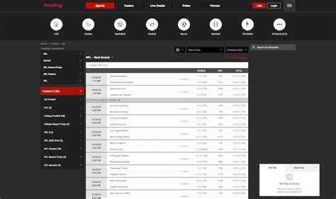 NFL Betting and the Bodog Experience.